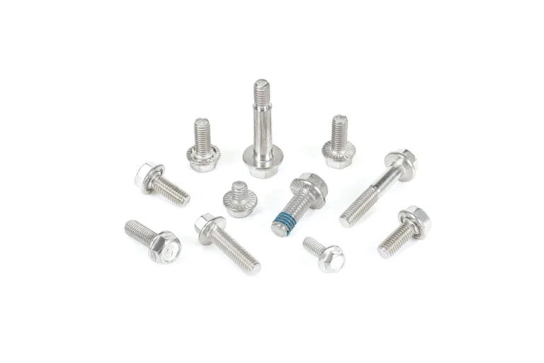 Flange bolts and hex head screws made from high-quality stainless steel.